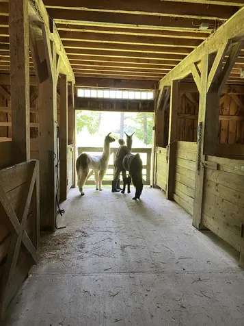 1502 Popple Dungeon Road Chester VT 05143