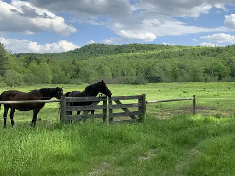 1502 Popple Dungeon Road Chester VT 05143
