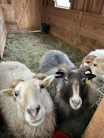 1502 Popple Dungeon Road Chester VT 05143