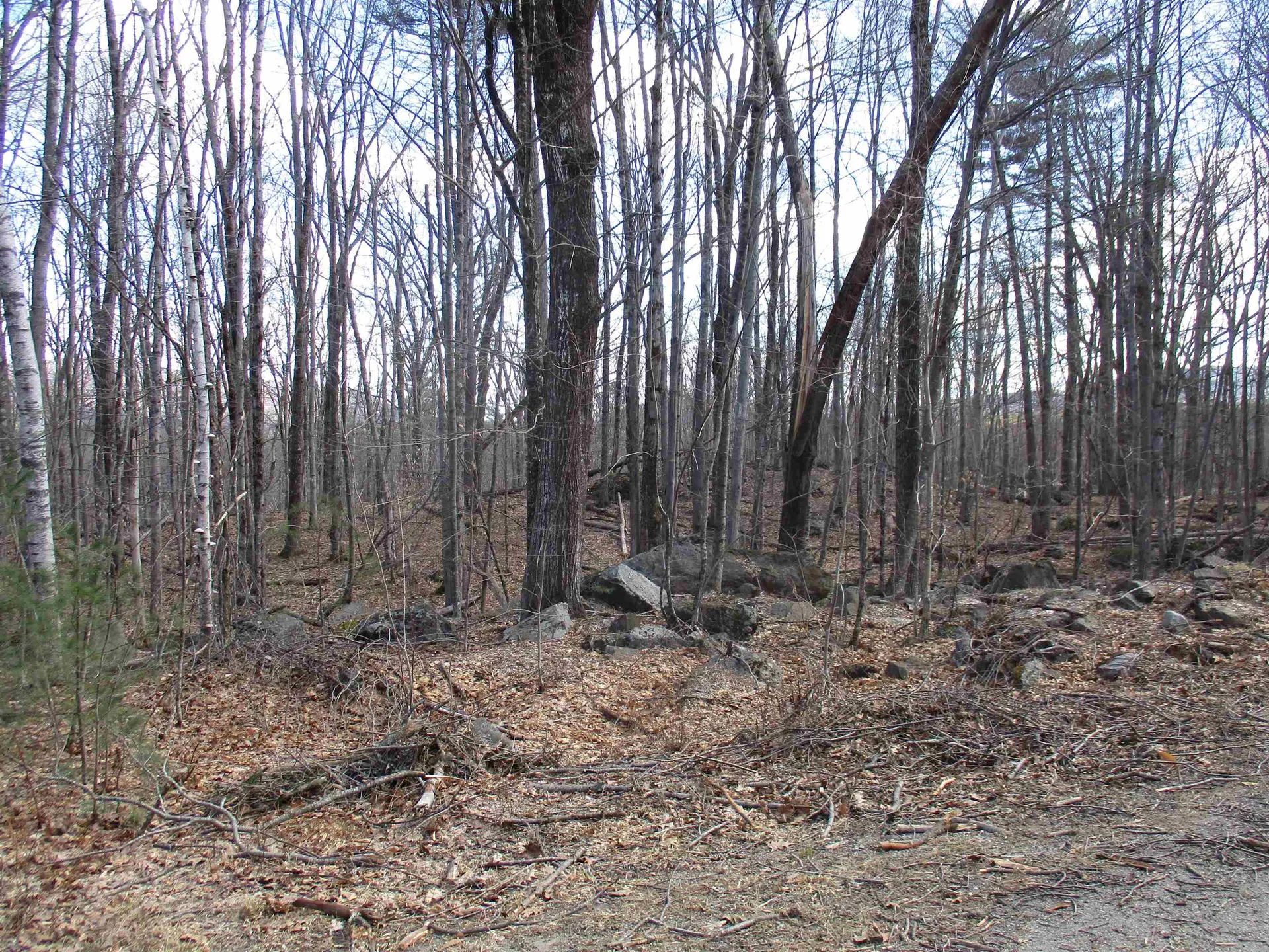 S5-11 Longwood Drive Greenfield NH 03047