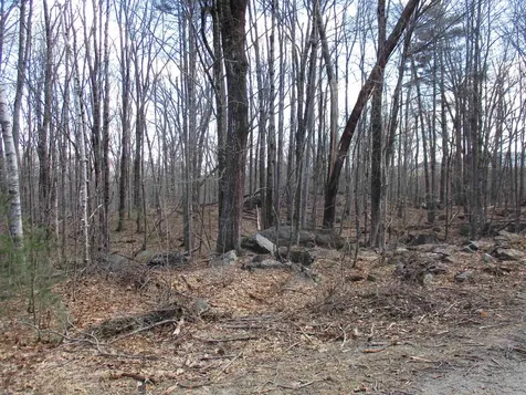 S5-11 Longwood Drive Greenfield NH 03047