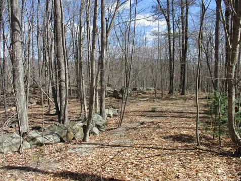 S5-11 Longwood Drive Greenfield NH 03047