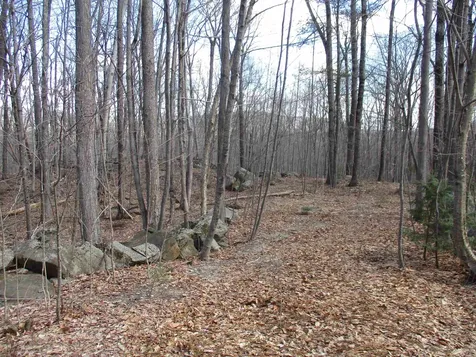 S5-11 Longwood Drive Greenfield NH 03047