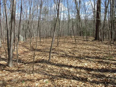 S5-11 Longwood Drive Greenfield NH 03047