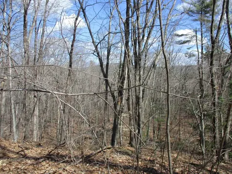 S5-11 Longwood Drive Greenfield NH 03047