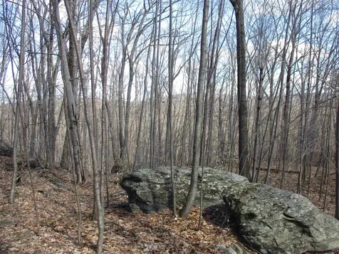 S5-11 Longwood Drive Greenfield NH 03047