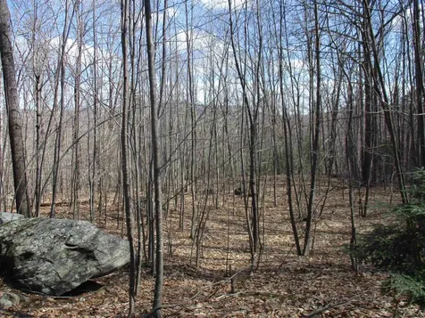 S5-11 Longwood Drive Greenfield NH 03047