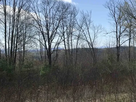 68 Colby Hill Road Hillsborough NH 03244