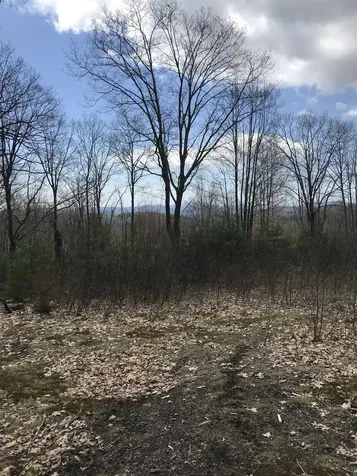 68 Colby Hill Road Hillsborough NH 03244
