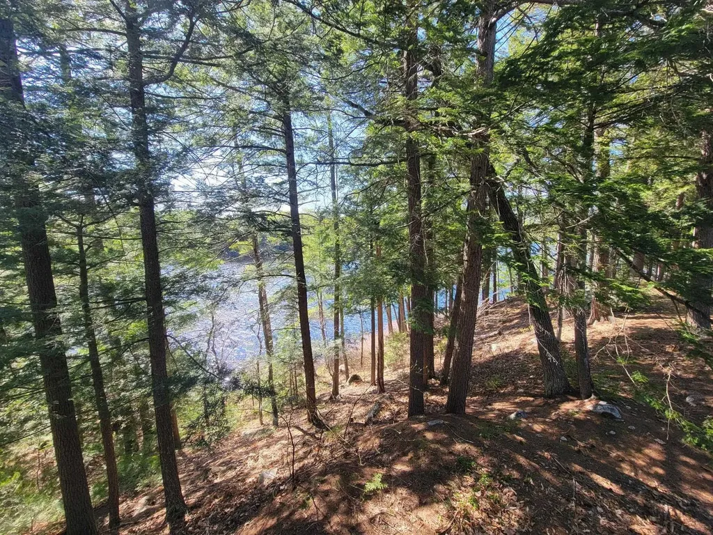 421 Squam Lake Road Sandwich NH 03227