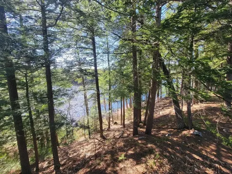 421 Squam Lake Road Sandwich NH 03227