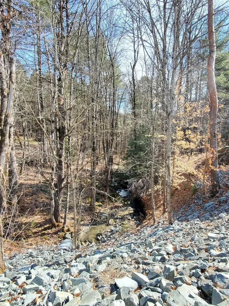 565 Farmer Drive St. Johnsbury VT 05819