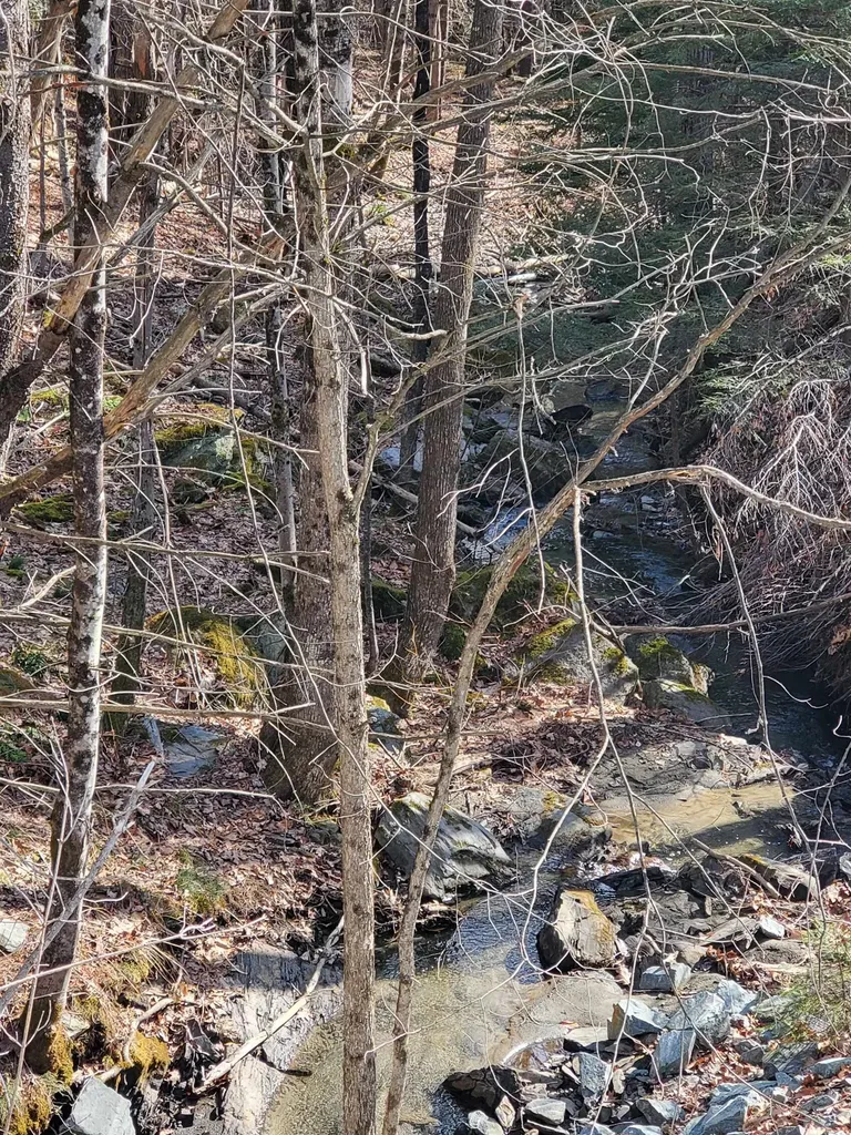 565 Farmer Drive St. Johnsbury VT 05819