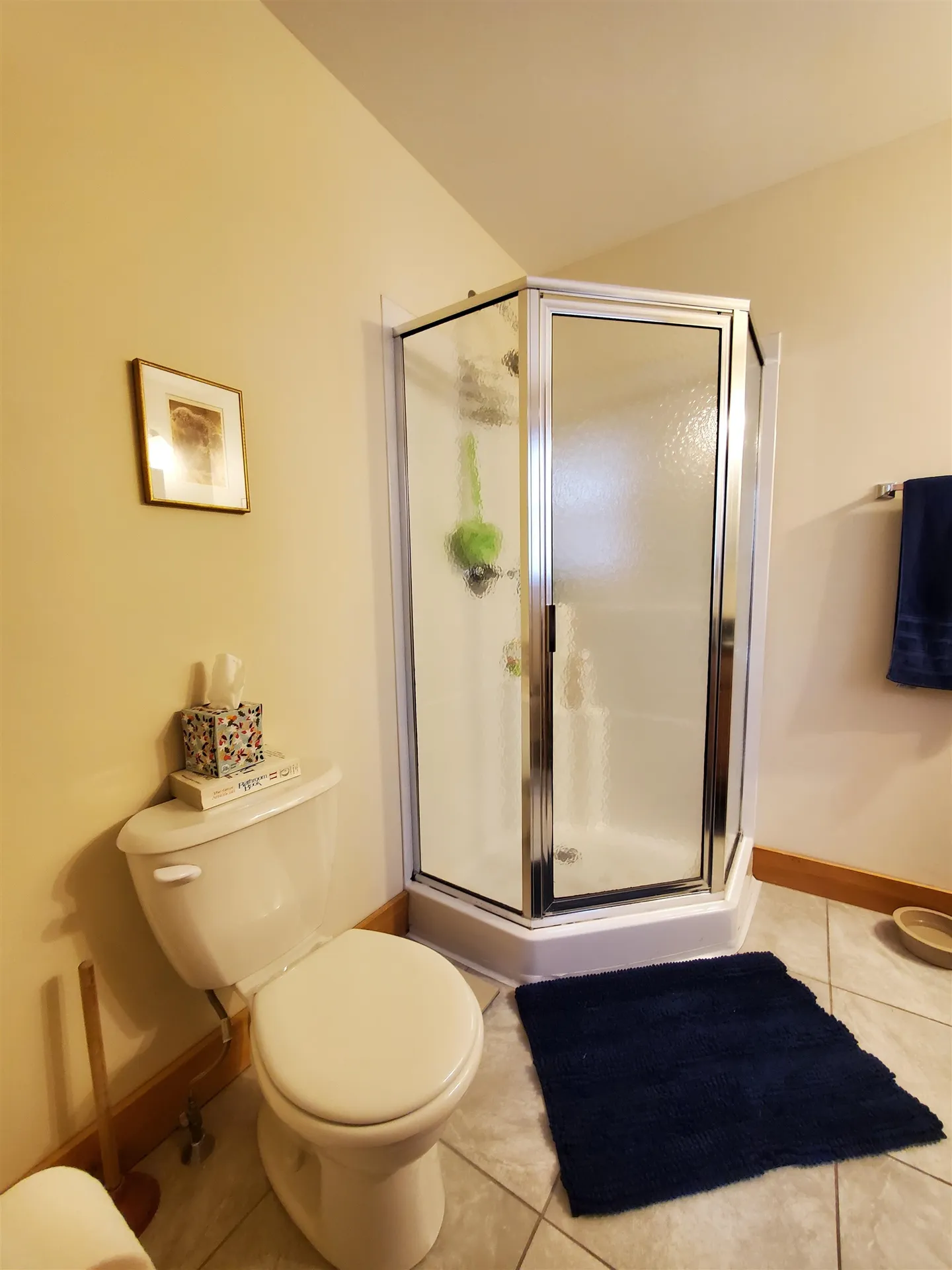 565 Farmer Drive St. Johnsbury VT 05819