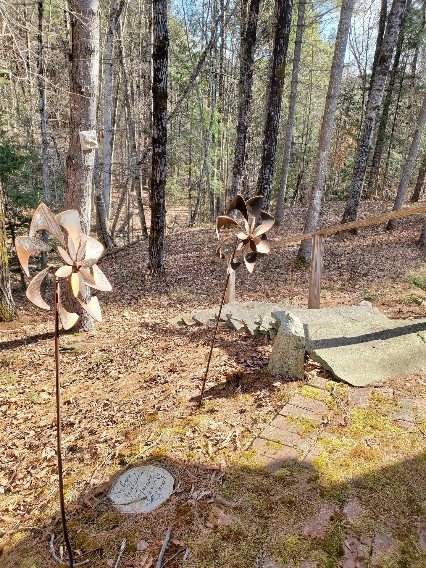 565 Farmer Drive St. Johnsbury VT 05819