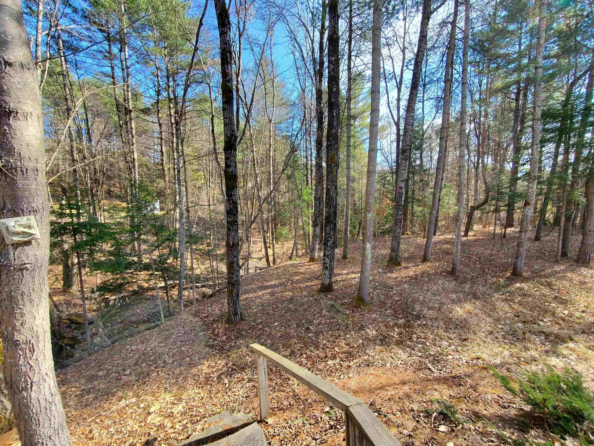 565 Farmer Drive St. Johnsbury VT 05819