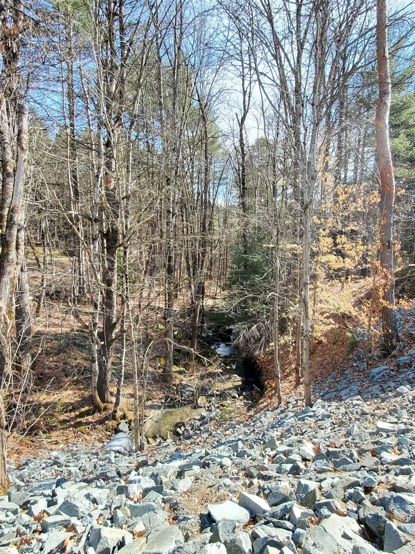 565 Farmer Drive St. Johnsbury VT 05819