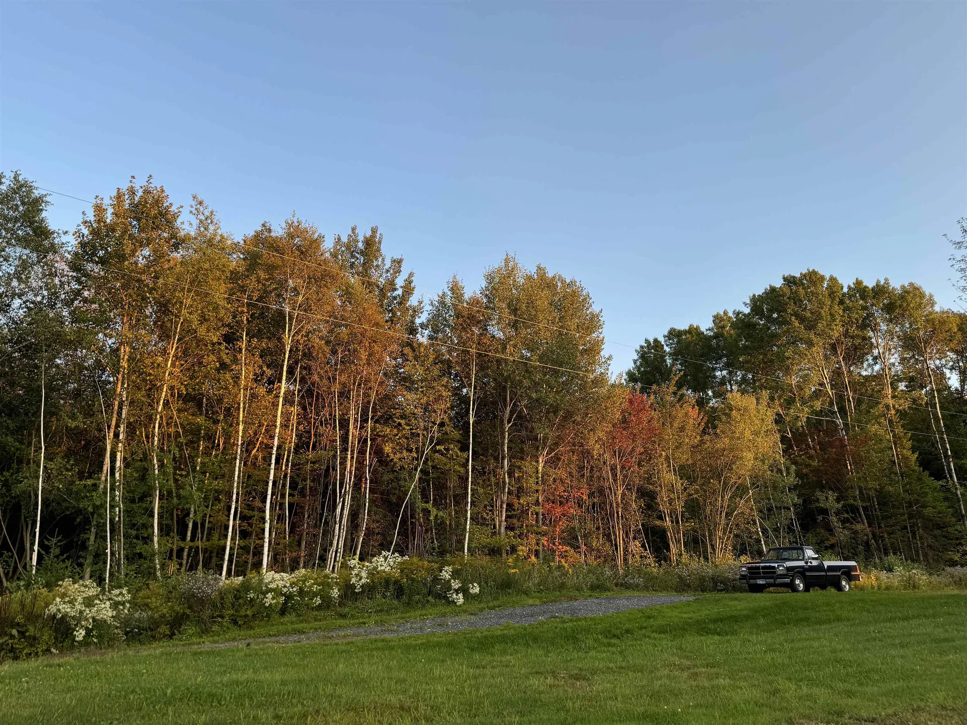 145 Therriault Hill Williamstown VT 05679