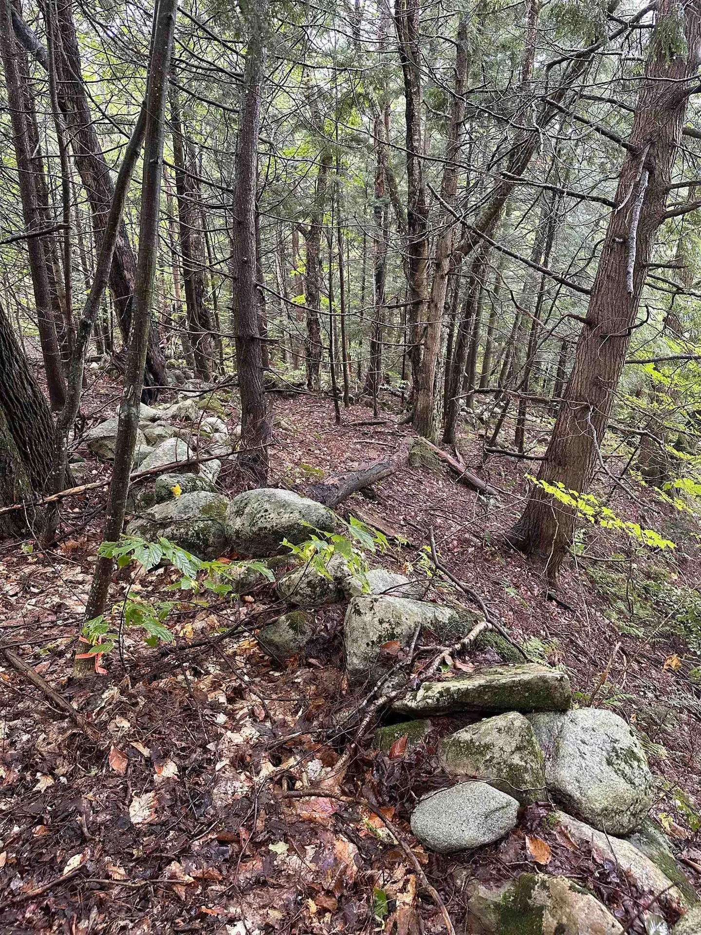 145 Therriault Hill Williamstown VT 05679