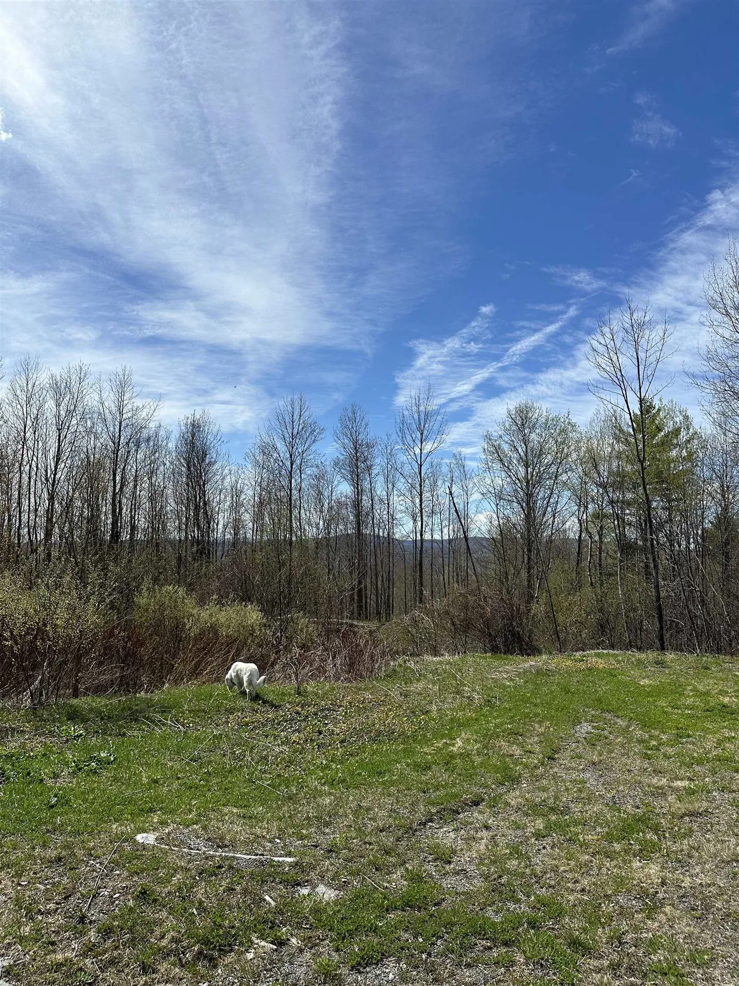 145 Therriault Hill Williamstown VT 05679