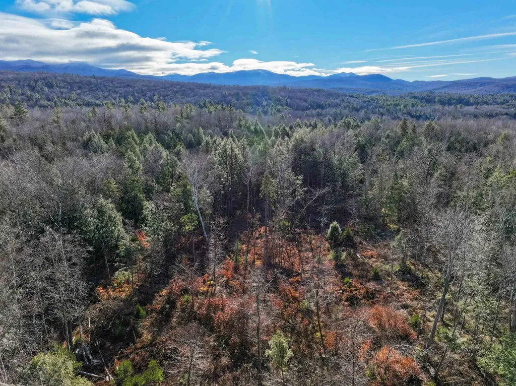 Tbd Selden Mill Road Ripton VT 05766