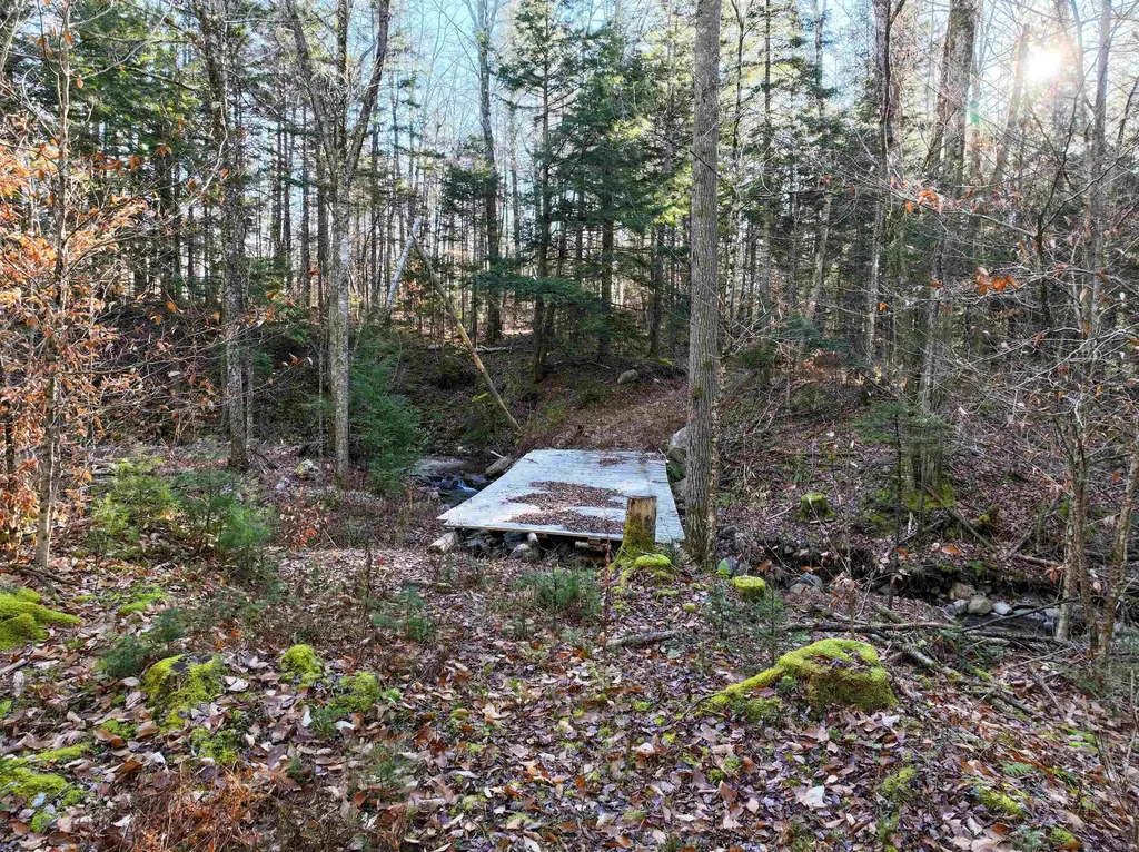Tbd Selden Mill Road Ripton VT 05766