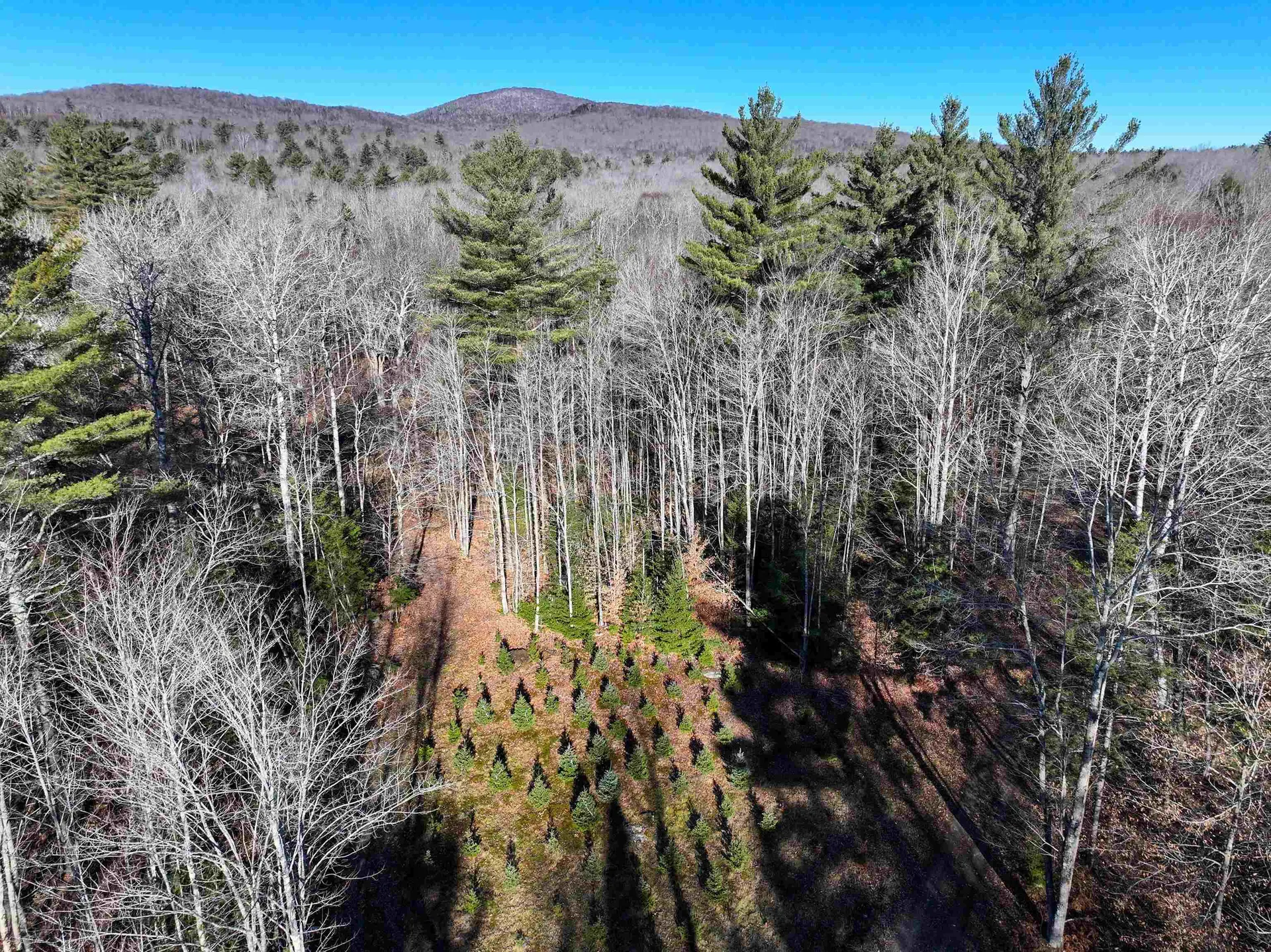 Tbd Selden Mill Road Ripton VT 05766