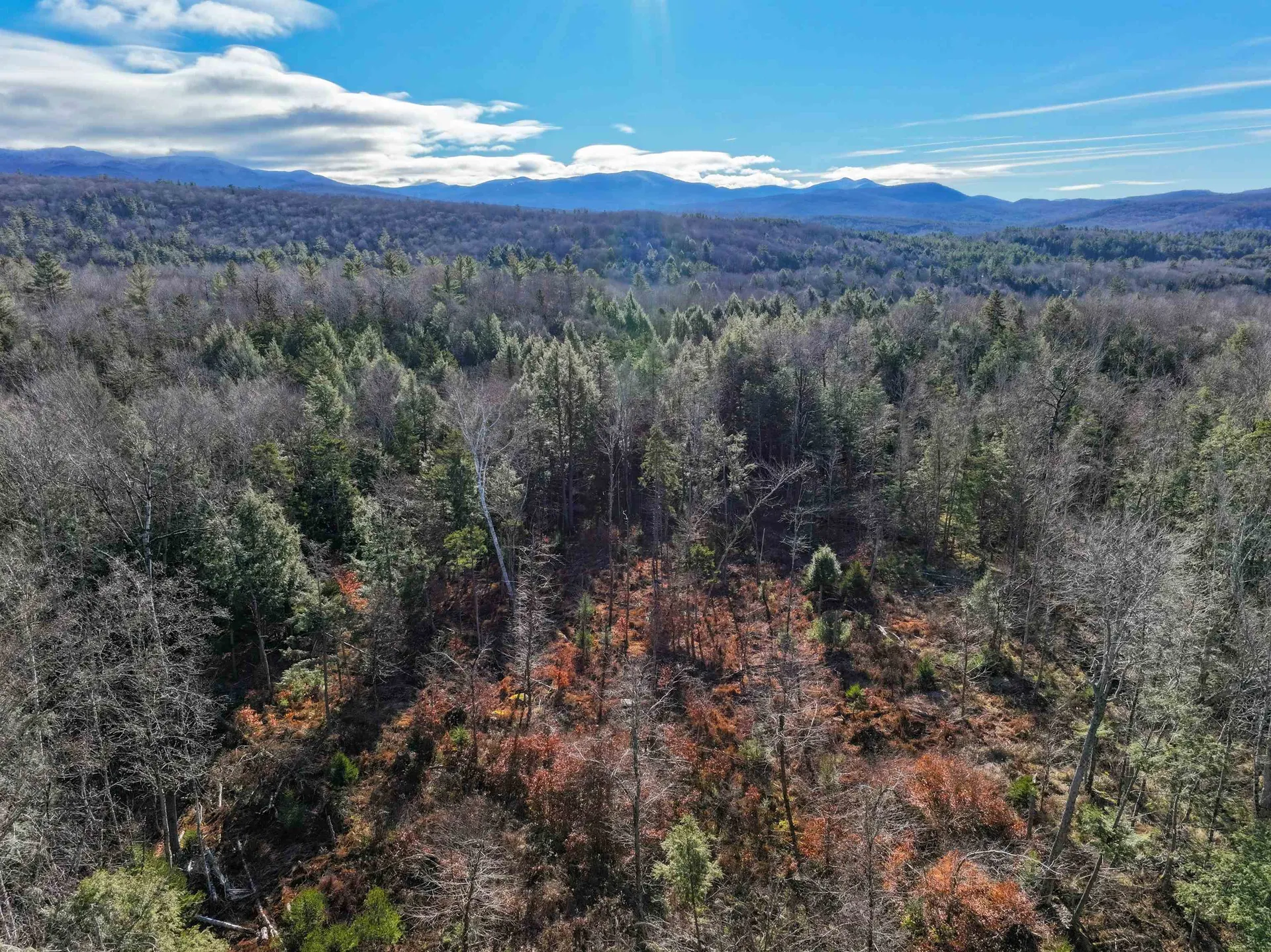 Tbd Selden Mill Road Ripton VT 05766