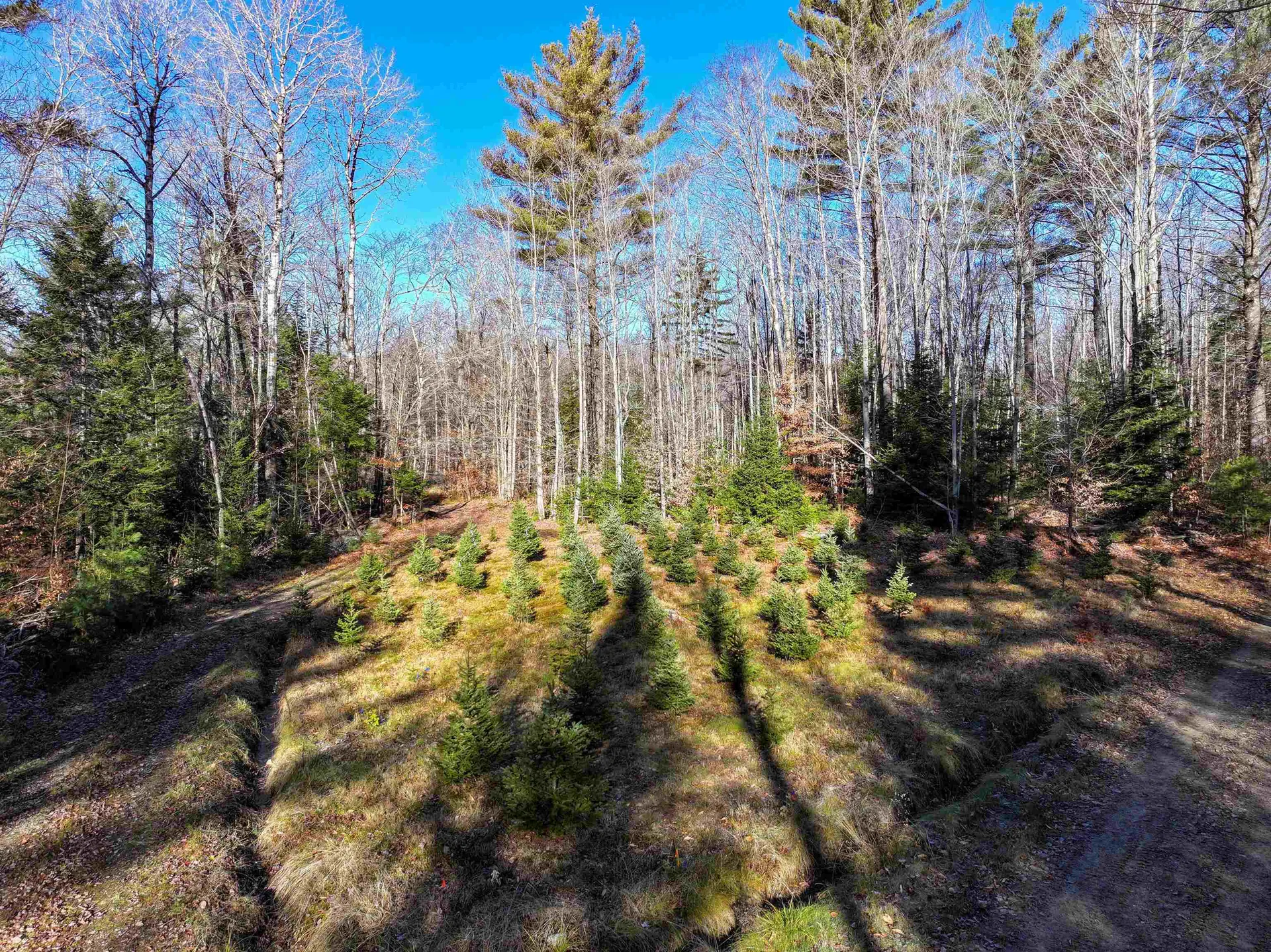 Tbd Selden Mill Road Ripton VT 05766