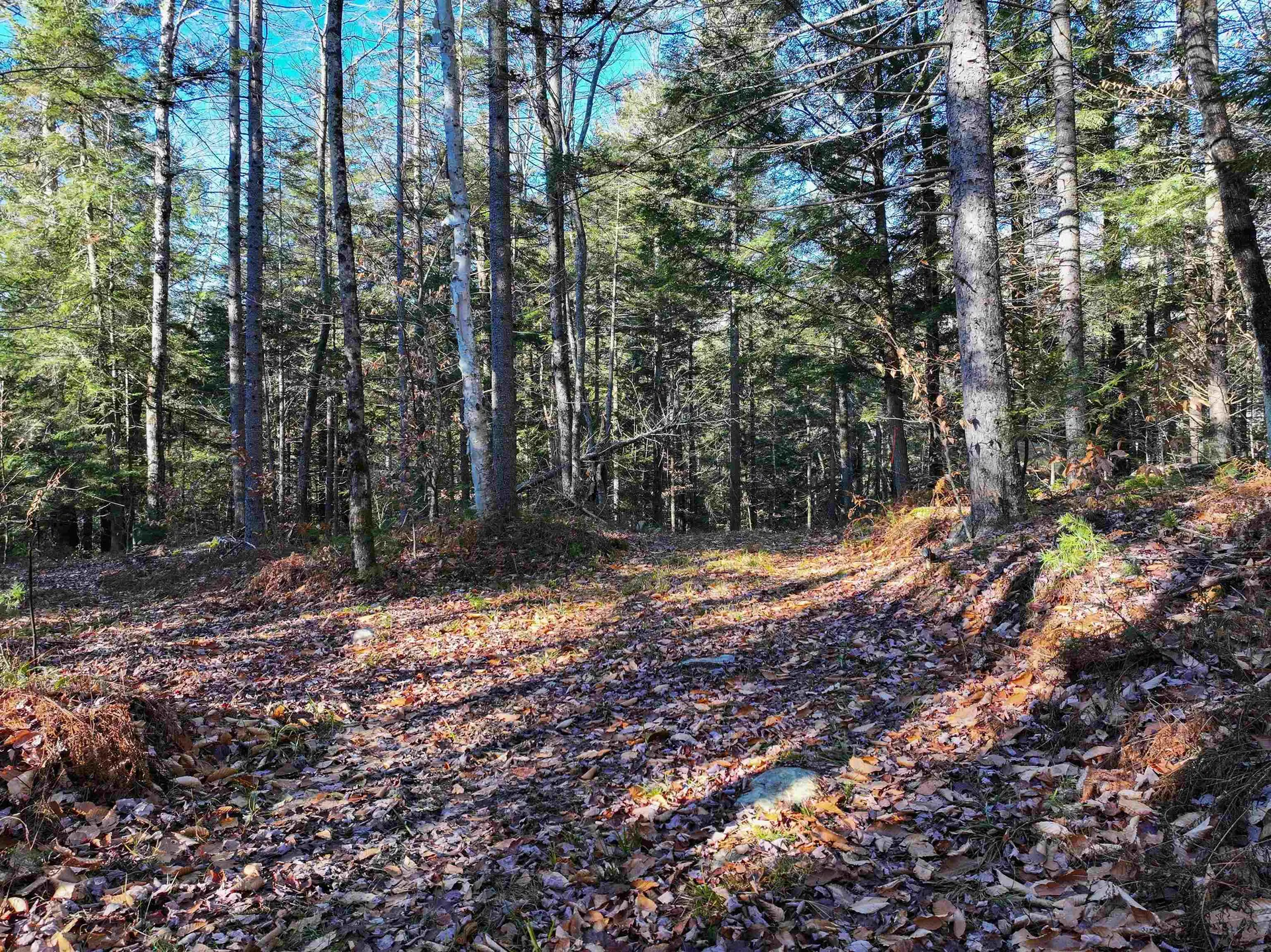Tbd Selden Mill Road Ripton VT 05766