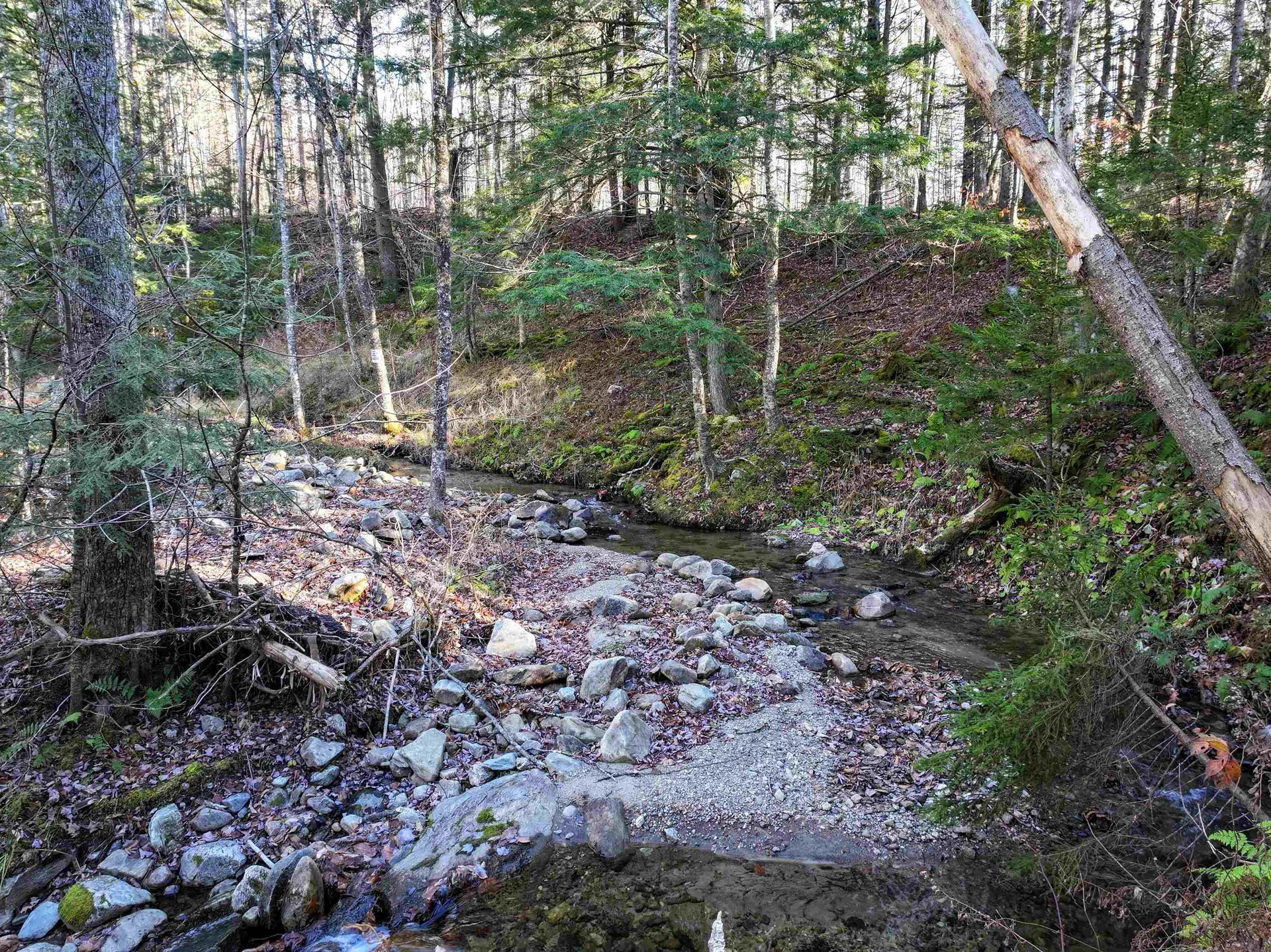 Tbd Selden Mill Road Ripton VT 05766