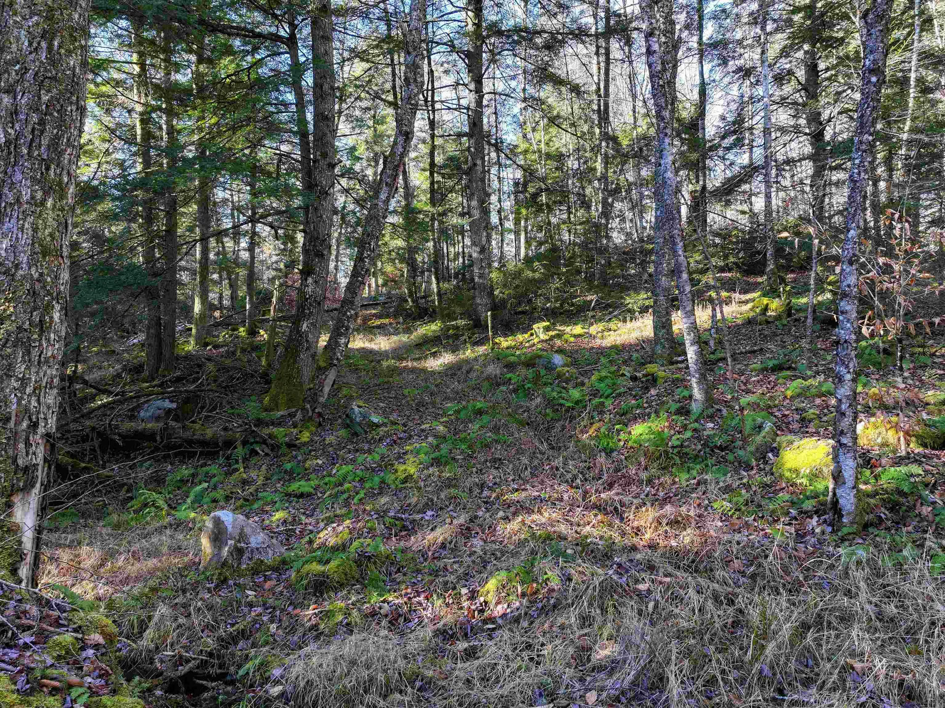 Tbd Selden Mill Road Ripton VT 05766