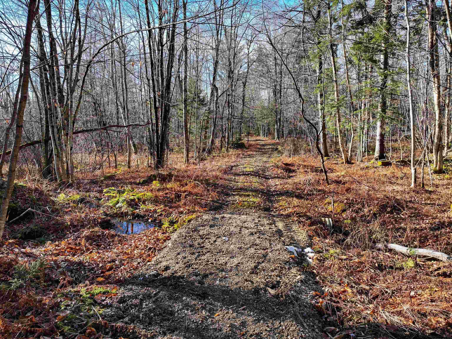 Tbd Selden Mill Road Ripton VT 05766