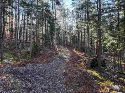 Tbd Selden Mill Road Ripton VT 05766