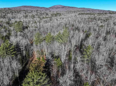 Tbd Selden Mill Road Ripton VT 05766