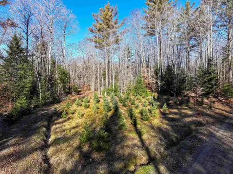 Tbd Selden Mill Road Ripton VT 05766