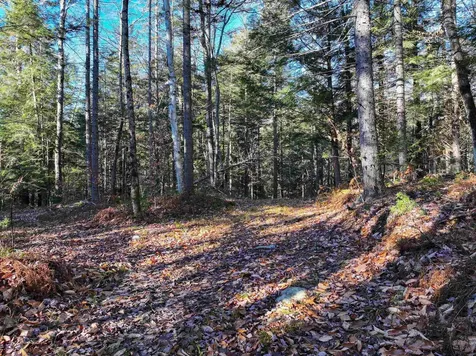 Tbd Selden Mill Road Ripton VT 05766