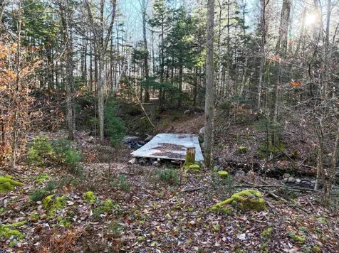 Tbd Selden Mill Road Ripton VT 05766