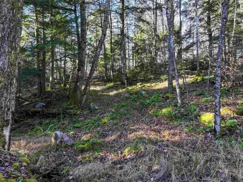 Tbd Selden Mill Road Ripton VT 05766