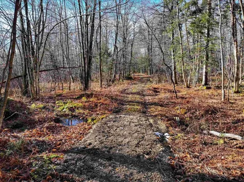 Tbd Selden Mill Road Ripton VT 05766
