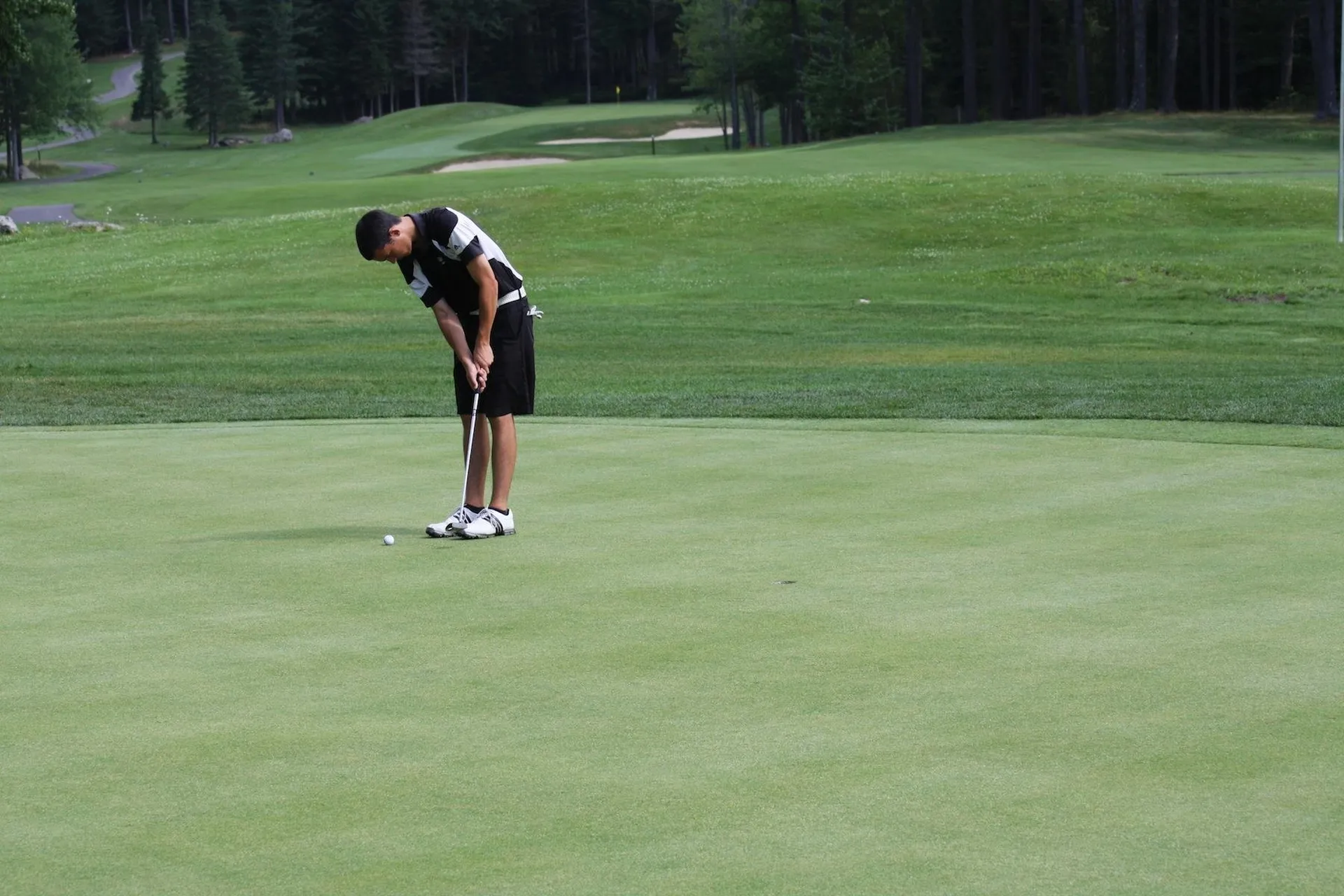 71 Greensward Drive Grantham NH 03753