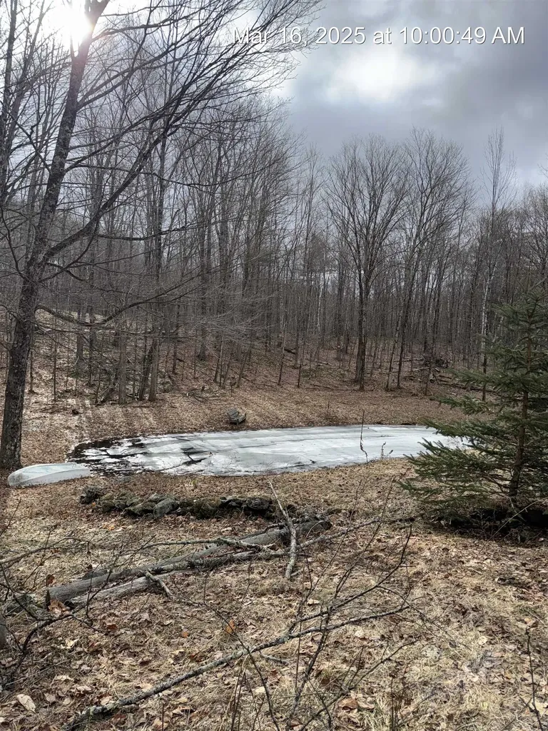 72 Mountain Road Middletown Springs VT 05757