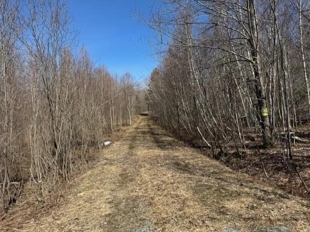 1749 Regan Road Montgomery VT 05471