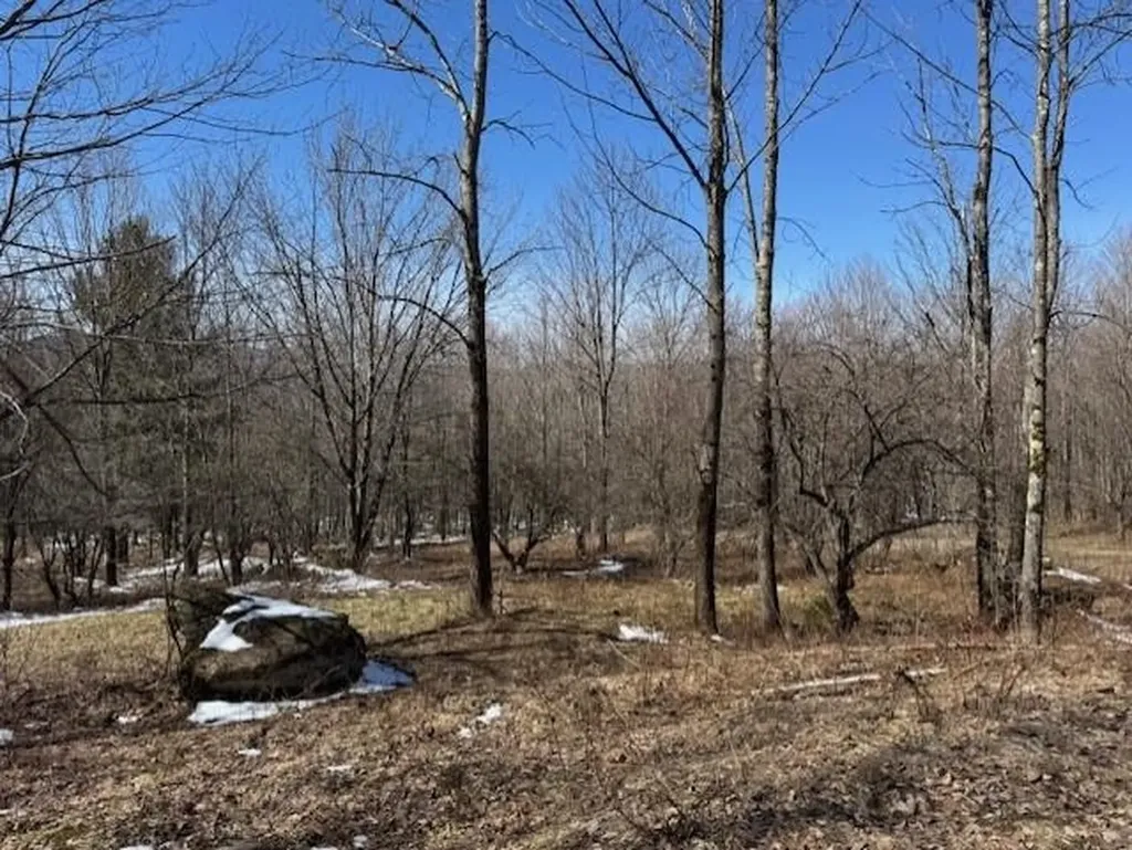 1749 Regan Road Montgomery VT 05471