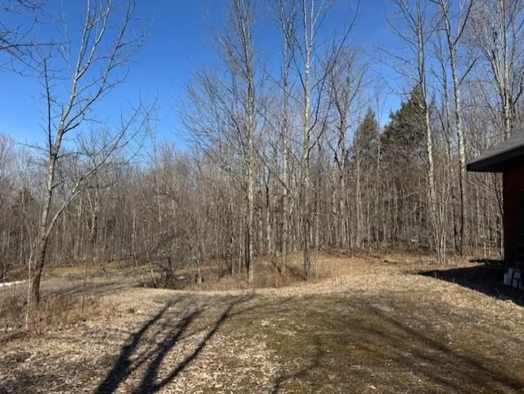 1749 Regan Road Montgomery VT 05471