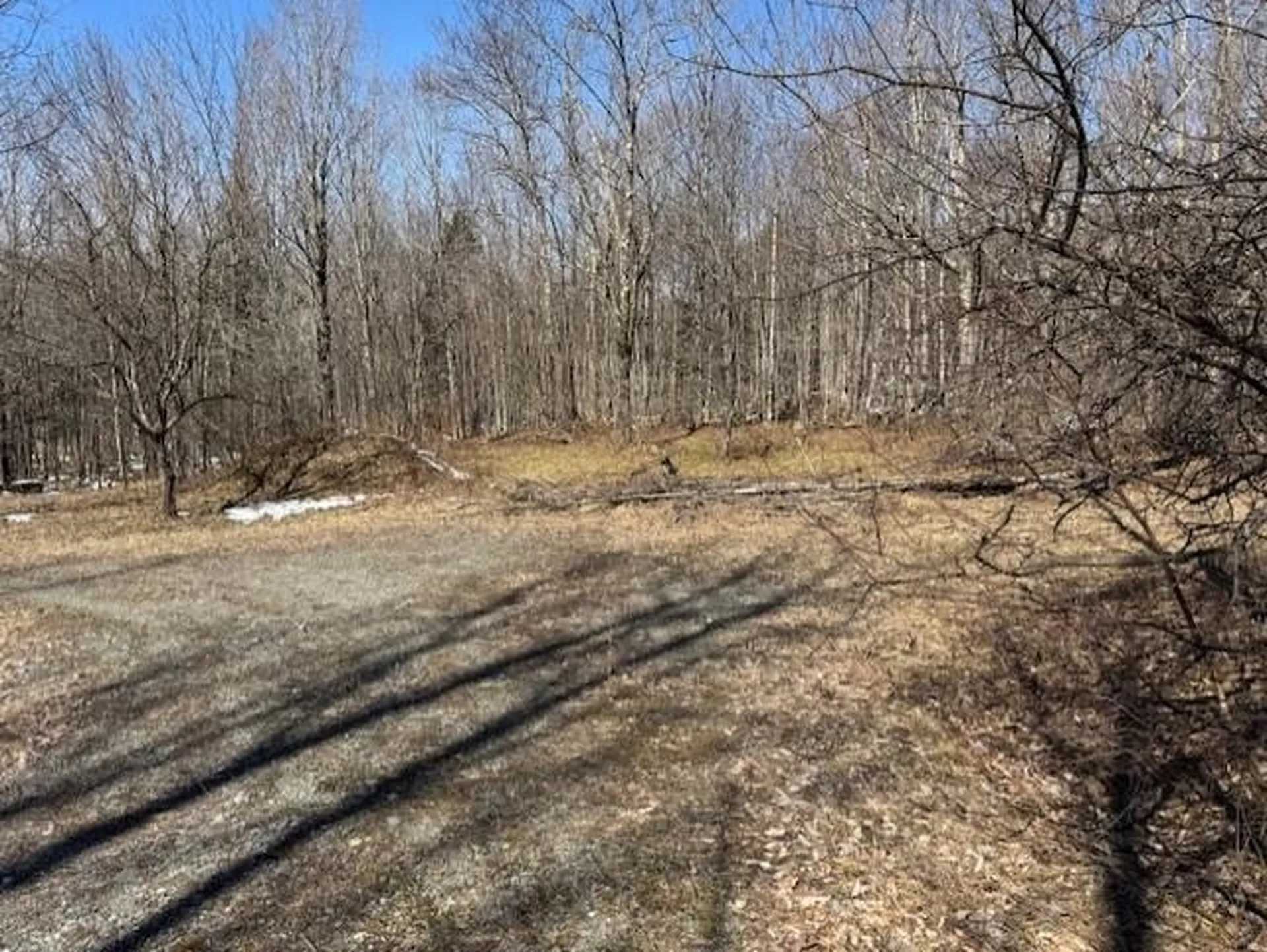 1749 Regan Road Montgomery VT 05471