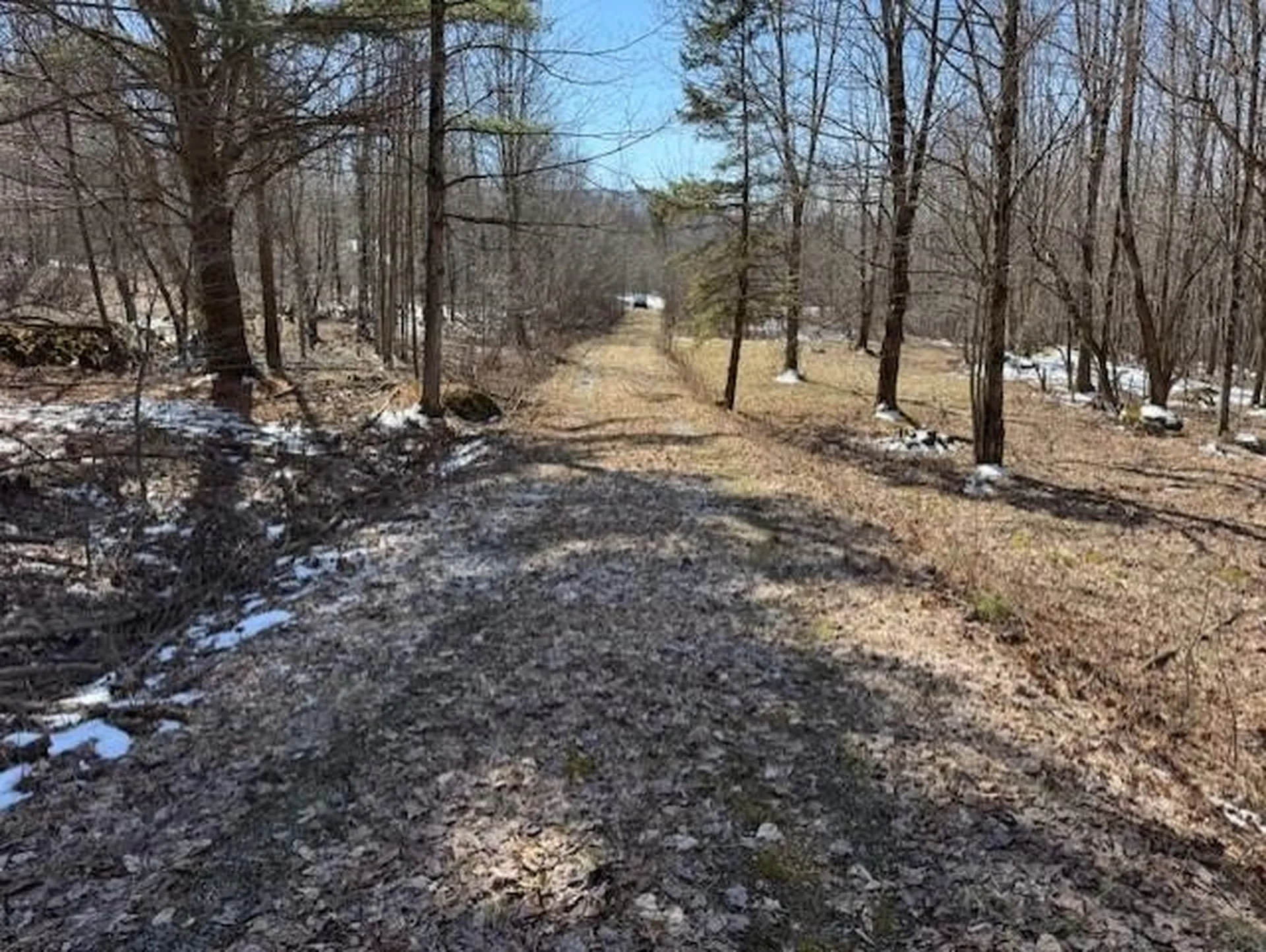 1749 Regan Road Montgomery VT 05471