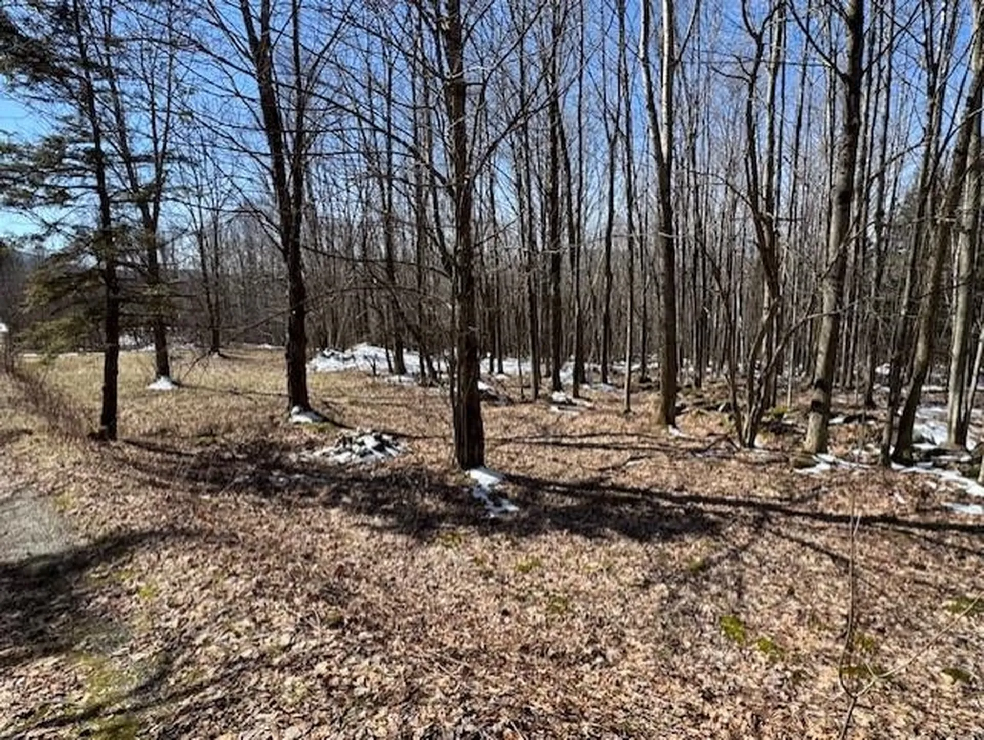 1749 Regan Road Montgomery VT 05471