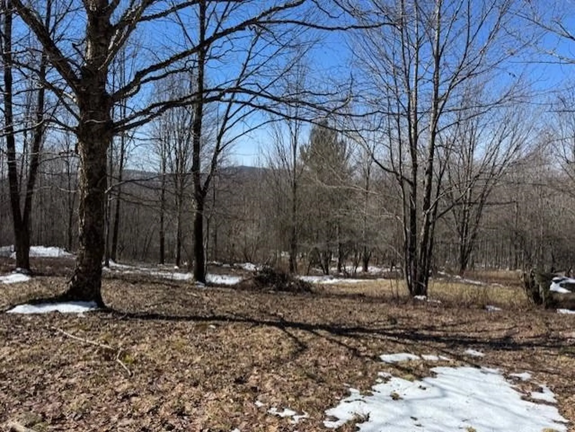 1749 Regan Road Montgomery VT 05471