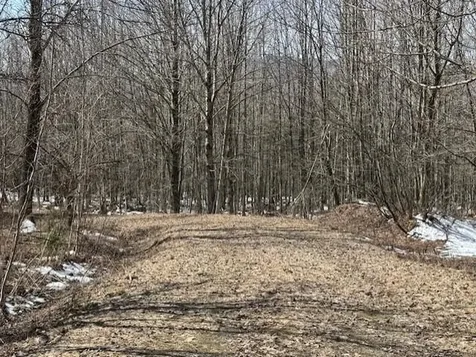 1749 Regan Road Montgomery VT 05471